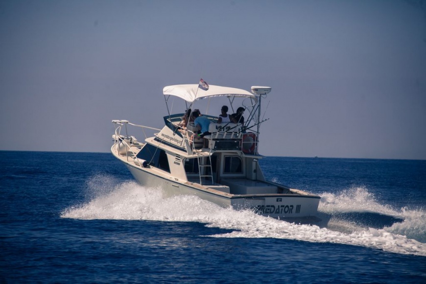 Blackfin 32