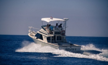 Blackfin 32
