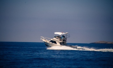 Blackfin 32