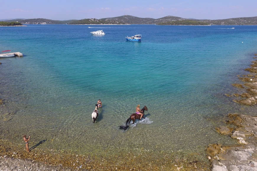 Konji na plaži Kamenčine