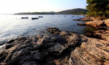 Obala u kampu Slanica